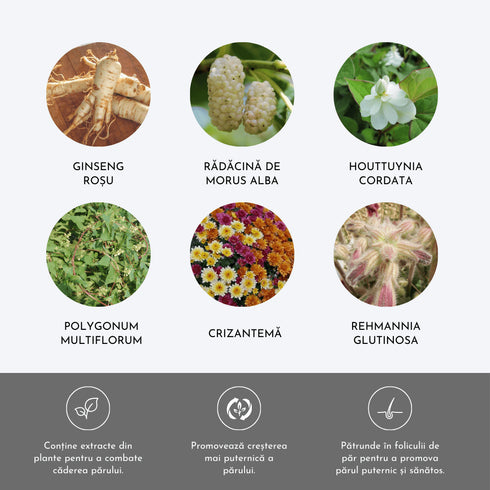 Vitalizing Energy Shampoo, 500 ml - WowSkin Romania