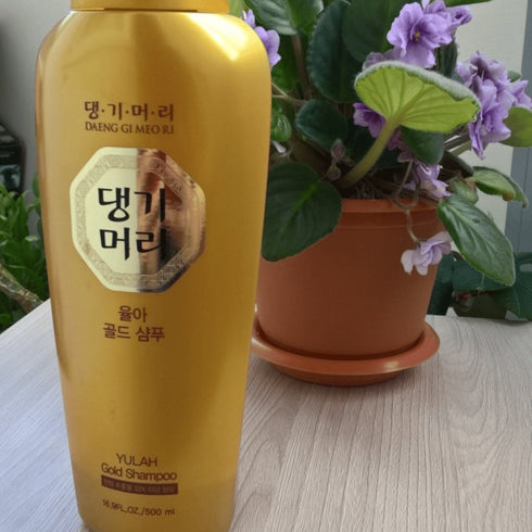 DAENG GI MEO RI Yulah Gold Shampoo - 500 ml - WowSkin Romania